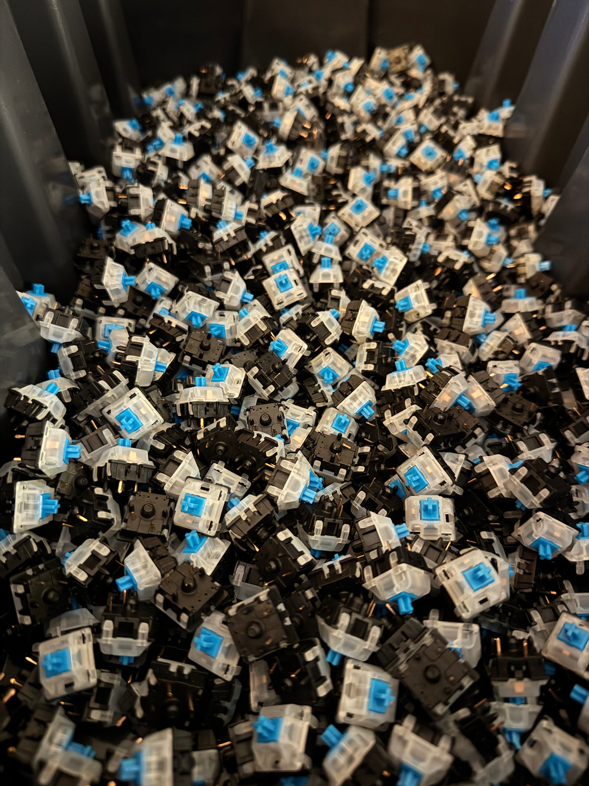 Gateron Blue